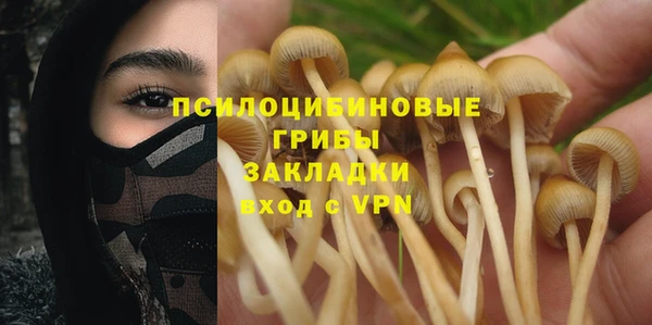 амф Абинск