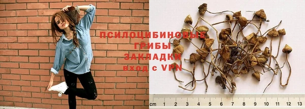ешки Армянск