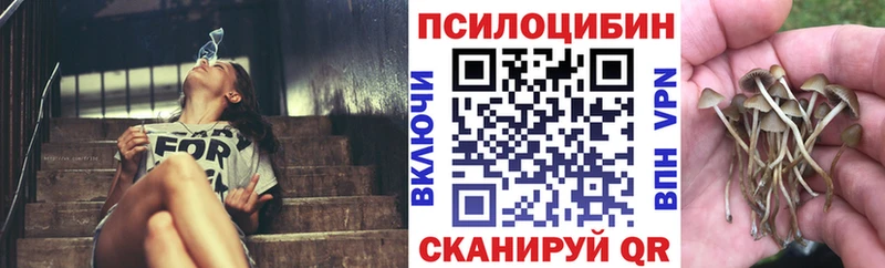 Псилоцибиновые грибы ЛСД  omg вход  Орёл  дарнет шоп 