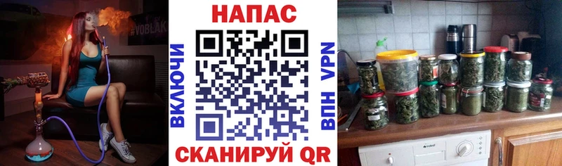 Конопля сатива  Орёл 